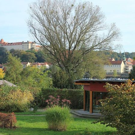 Ferienoase Lägenhet Pirna Exteriör bild